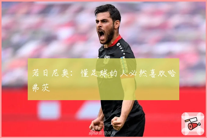 若日尼奥：懂足球的人必然喜欢哈弗茨